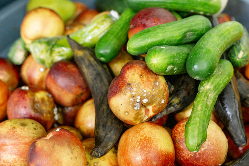 WeStopFoodWaste A pile of spoiled fruit and vegetables, including bruised nectarines, blackened bananas, and cucumbers, some with visible mold and decay.