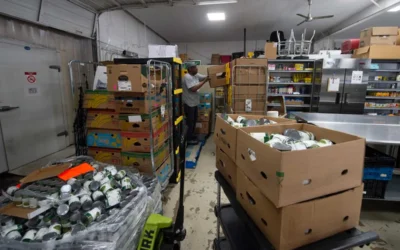 Trash into treasure: Thanks to a new app for volunteers, Potluck Food Rescue is doing ‘more with less’ – Arkansas Times